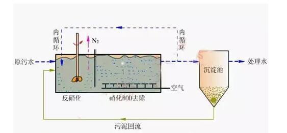 高濃度，高氨氮