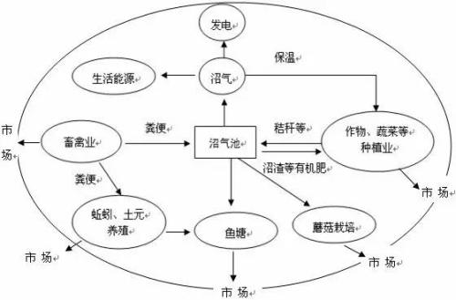 種養(yǎng)結合模式